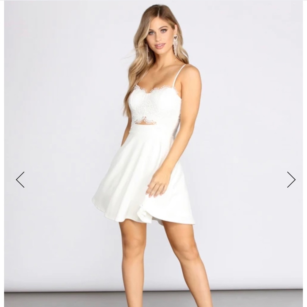 Windsor Lace Bust Skater Dress